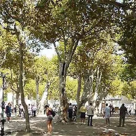 Junior Saint-tropez, Rénové 2023, Plein Centre, Piscine, Climatisé!